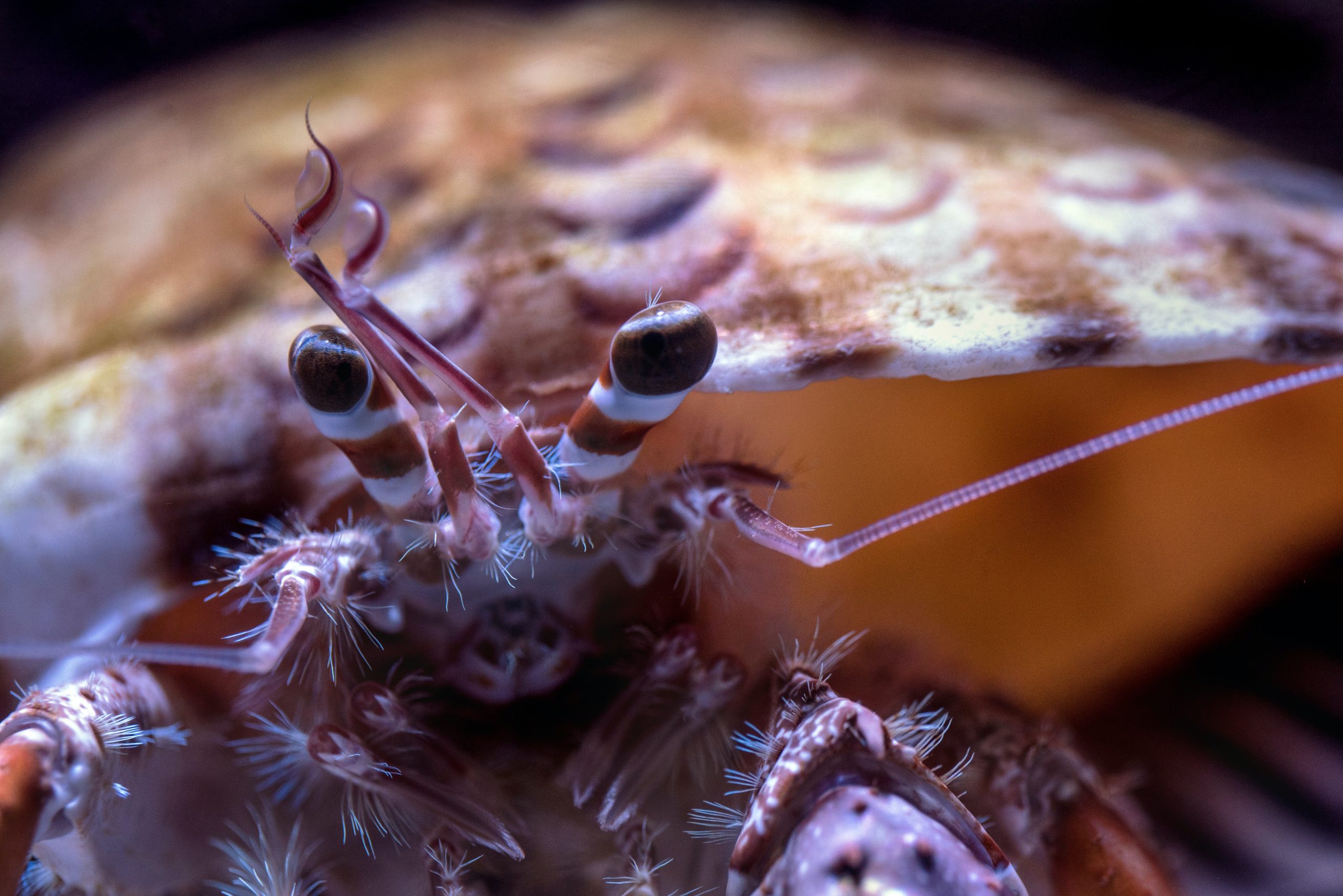 Gallery image with a fresh perspective